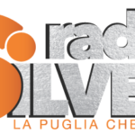 LOGO-silver